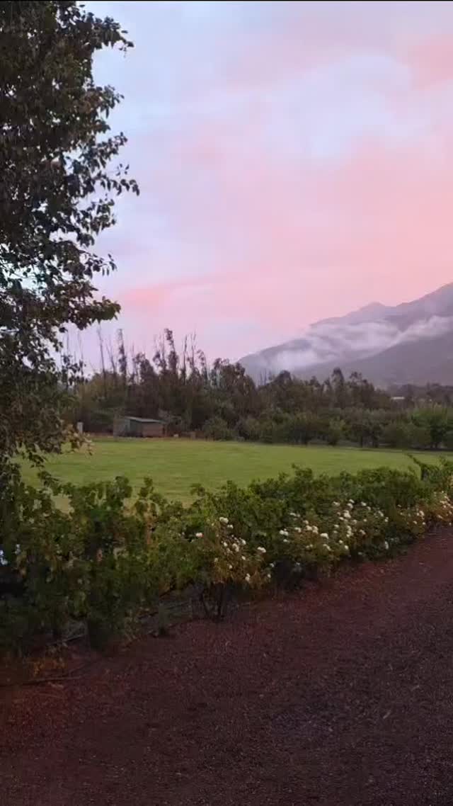 Breathtaking sunset yesterday just before the rain......
#sunsetlovers #kleinnektar #accommodation #selfcatering #sunsetphotography