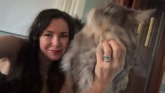 My familiar, my love Mr Mojo.
#witchescat #maincoonstagram