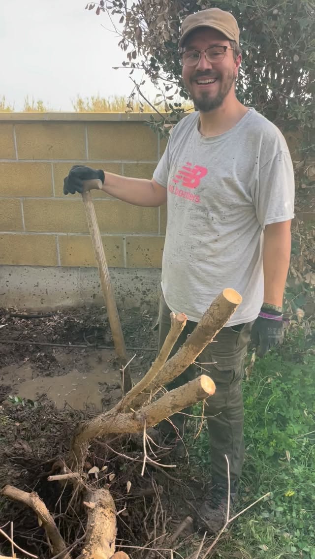 Ausgeheckte Hecke 🔥
#lagerfeuer #permakultur #heckeweg