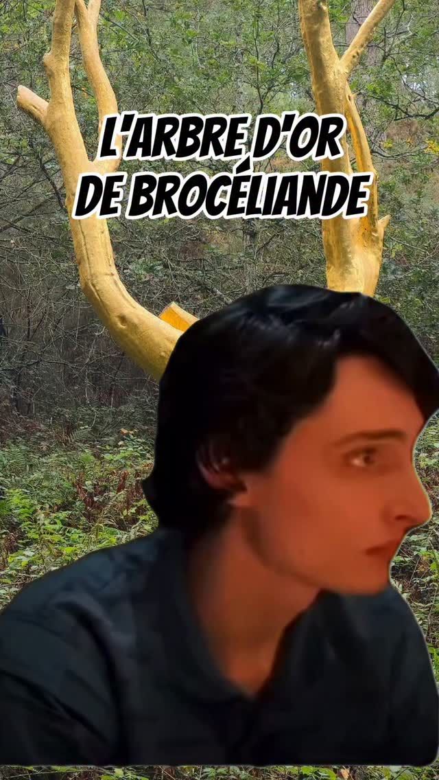 Les participants du stage médiumnité, soins énergétique de Brocéliande : je crois en vous 😘