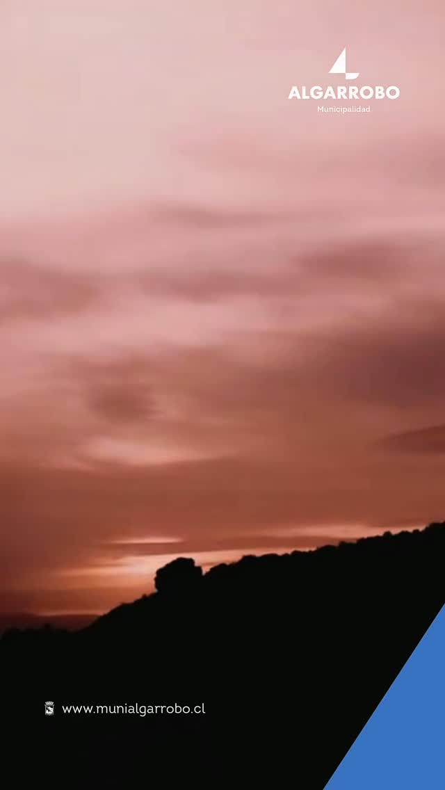 Las áreas de alto valor ecológico de Algarrobo y Tunquén son refugio de vida. Nuestra presidenta nos invita a cuidarlas con responsabilidad y respeto, comenzando por una acción fundamental: no asistir con perros.