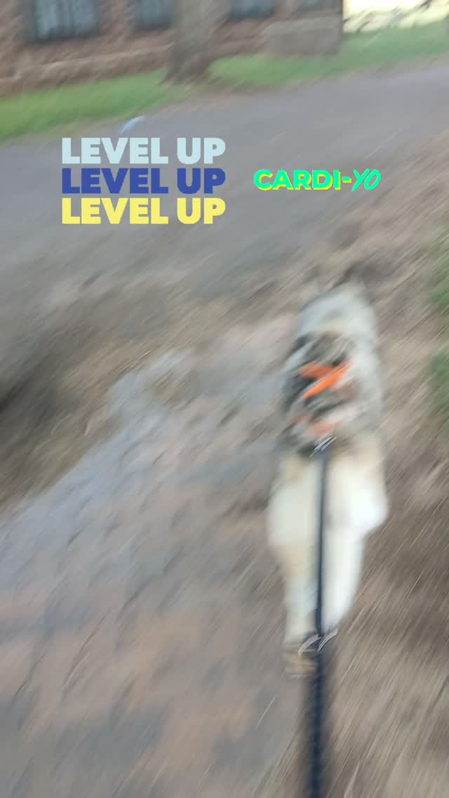 Fitness level 🔝
#wds #wds2026🇮🇹 #worldchallengeoftopdogs2026