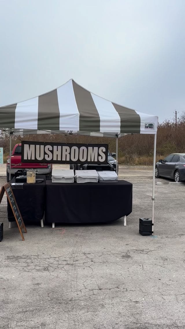 It’s almost #mardigras #superbowl and #mywedding so please come support #localbusiness today at @gofarmersmarket from 9-12 and get some #minicakes cake pops, and king cake.