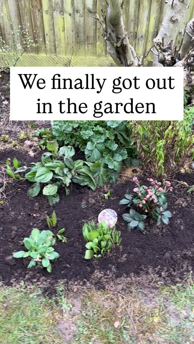 Sunday afternoon the rain stopped, the cloud broke, and we managed to get out for a few hours in the garden! It felt so good š Did you manage a few hour outside this weekend, or did the rain stopped play again? #gardening #weeding #gardensofinsta