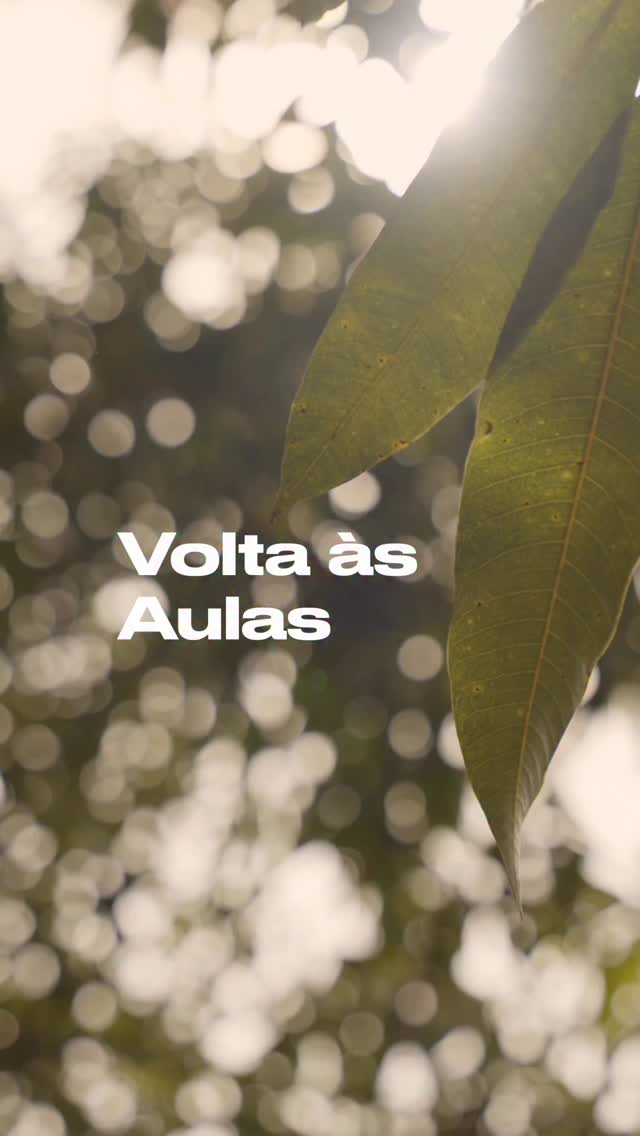 Prédio novo @bloco_arq, famílias e estudantes novos, e equipe com pessoas novas chegam para se misturar com quem já está aqui há tempos. Entre tantas novidades, uma rotina segue se perpetuando e já virou tradição: a velha alegria, festa de voltar para a escola e os sorrisos de toda a comunidade. Nosso primeiro dia, com seu registro curtinho do nosso querido @andersontenorio, também é tradição. Aproveitem.