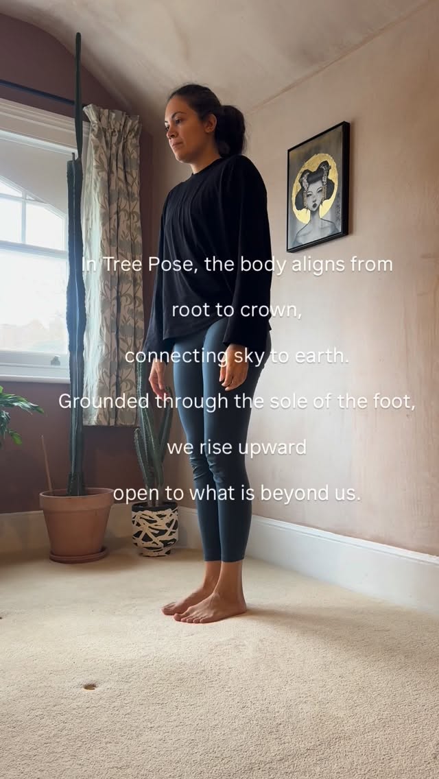 Week 7 — Sahasrara
I can’t quite believe we’re already here.
We close this journey with the crown chakra — the space of connection and perspective.
If you’d like to explore the chakras more deeply, I hold a monthly book club and workshop as part of Daily Gentle Yoga. Tomorrow we deep dive into the sacral chakra.
DM me for details 🤍
#kundaliniyogateacher
#sahasrarachakra
#treepose
#hannahjosephstudio
#kundaliniyoga