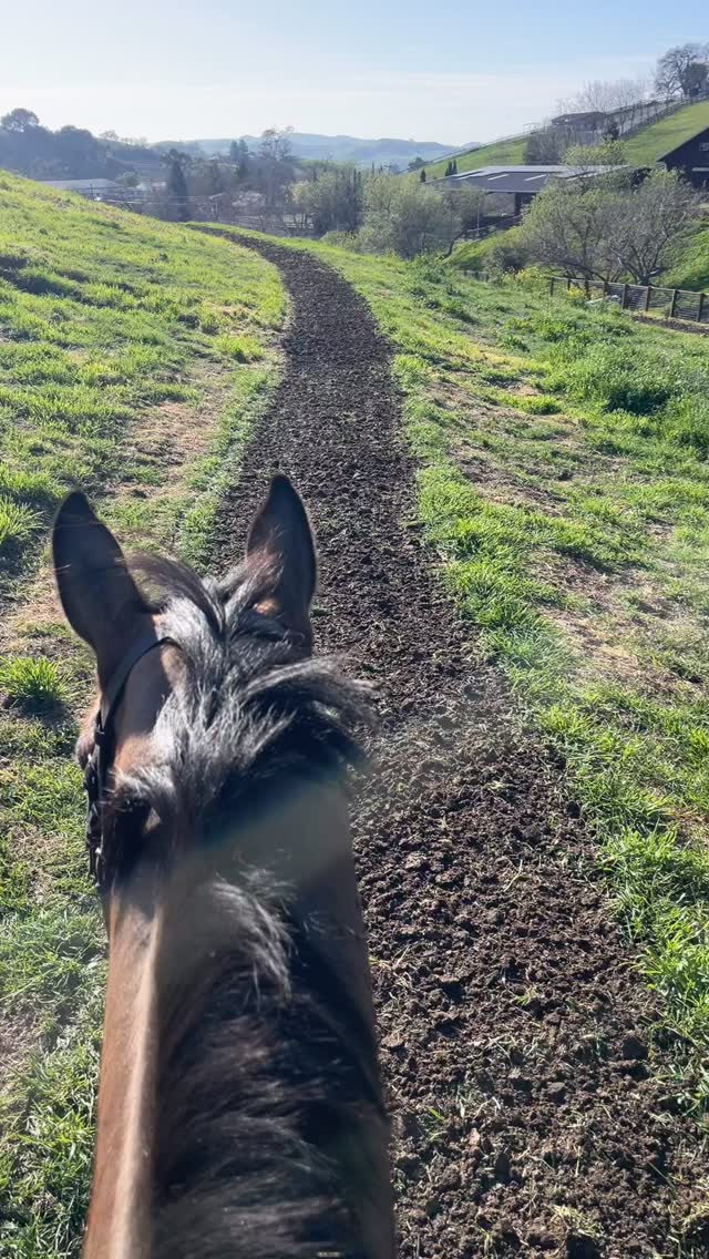 Freshly graded trails are looking amazing at the Maddox Family Farm! What a beautiful day!!!! #teamkmt #feelslikesummerāļø #maddoxfamilyfarm