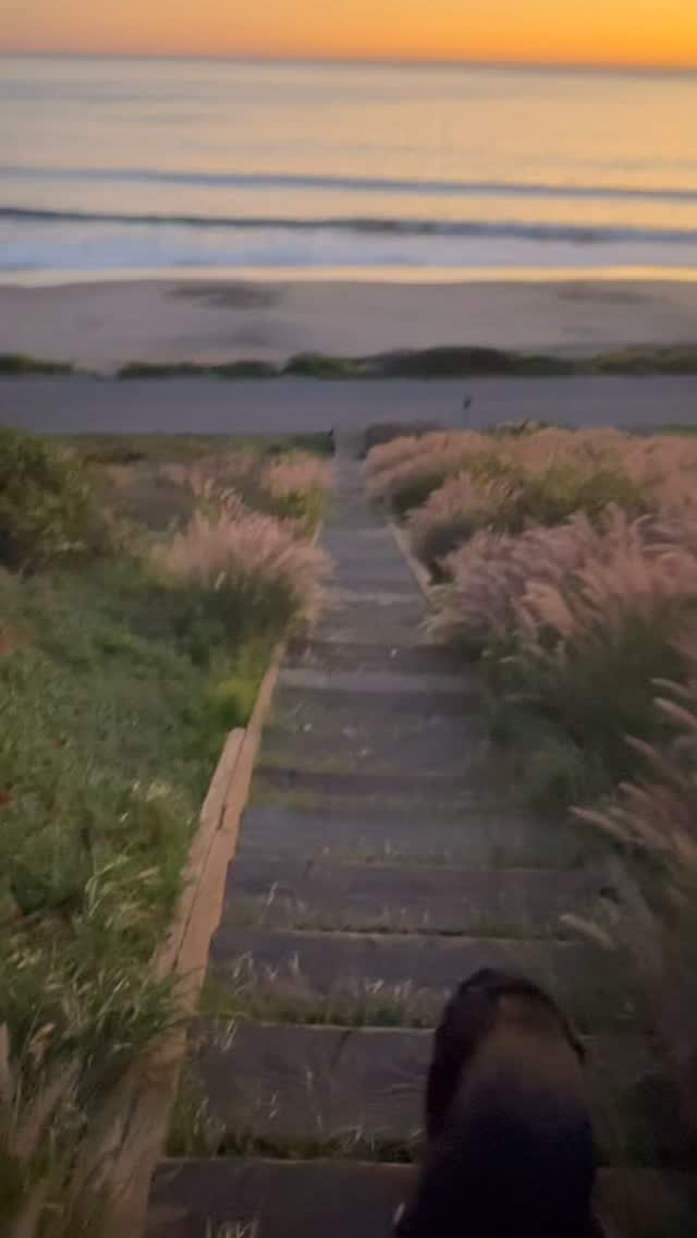 Being chosen
When someone can’t choose you fully, it has nothing to do with your self worth or value
It does have everything to do with their capacity
What low emotional capacity looks like (even in good people)
Someone can be:
• Kind
• Warm
• Drawn to you
• Emotionally intelligent in conversation
• Deeply connected in moments
…and still lack the capacity to stay, hold, and choose consistently.
And this is important:
The longer you stay the more you devalue yourself
#relationships #choice #choose #chosen #value