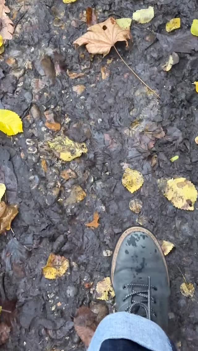 Streatham has one of the most vibrant community spirits in all of London. The Rookery Café, is perched right on the top of Streatham Common, and next to the magnificent Norwood Grove! Locals are rightly proud of where they live and we are rightly proud that they call The Rookery Café their local!