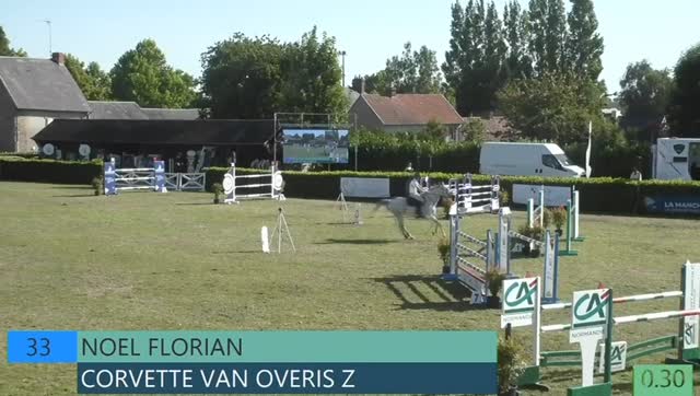 Disponible à la vente pour le compte de sa propriétaire
🤍 Corvette van Overis Z - Hongre de 15 ans par Celano x Darco
A sauté 1m45 avec 4 cavaliers différents !
👨🏼🎓 Cheval d’expérience, maître d’école pour une personne qui souhaite apprendre avec un cheval fiable et bien dans sa tête.
🙌🏼🐎 Parfait pour classer dans les épreuves de 125 à 135 tous les week-end.
Corvette est un cheval facile, pratique et bien dans sa tête.
Au quotidien RAS : trotting, plage, embarquements en camion, soins...
A jour de tout : vaccins, vermifuge, dentiste, ostéopathe
📞 Contact privilégié par téléphone au +33 6 40 89 99 85
Pas sérieux s’abstenir
💰Tarif 20k (pas de TVA)
