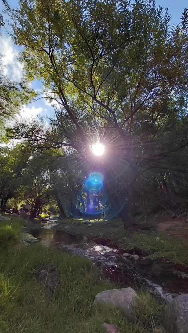 🌈Dicen que es un efecto de cámara.
Otros sienten que es energía.
Estaba activando la energía Crística en mí cuando esta luz apareció.
Cada persona percibe desde su sensibilidad.
Lo que para algunos es solo un reflejo, para otros es energía mostrándose, haciéndose preste.
Ahora me interesa leerte a vos.
¿Qué ves en este video?
¿Efecto de cámara o energía?
Abrazo 🌈 Emi