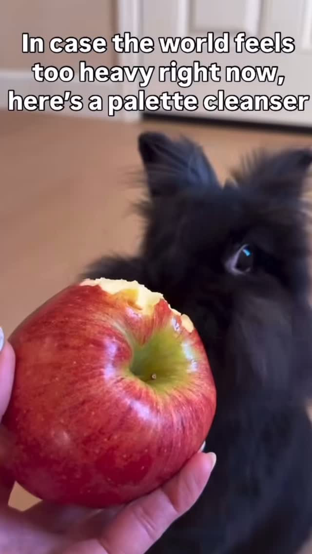 It’s okay to feel overwhelmed sometimes, we’re not meant to carry everything at once. Take this opportunity to take a breath, a pause, and remember to take care of yourself first. Healing yourself is how you show up gently and fully for others.
Consider this your small moment of lightness #healing #positivity #mindfulness #deepbreath #inspiration