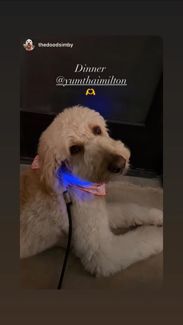 #Repost @yumthaimilton