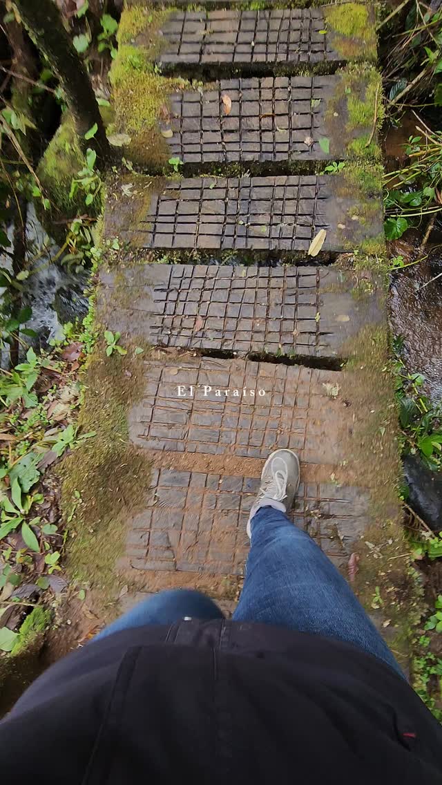 🇨🇷✨ ¿Listos para escaparse a la montaña y vivir una experiencia llena de magia y naturaleza?
Compartan risas en familia, momentos románticos en pareja o aventuras con amigos, rodeados de bosque nuboso, aire puro y una biodiversidad única. Aquí se desconectan del ruido… y reconectan con lo que de verdad importa.
Disfruten nuestro pase del día o quédense en un hospedaje acogedor con vistas increíbles.
Vengan a celebrar la vida, la tranquilidad y la belleza natural en Paraíso Quetzal.
📲 Reservá tu aventura al WhatsApp al 8392 8298
El paraíso te espera