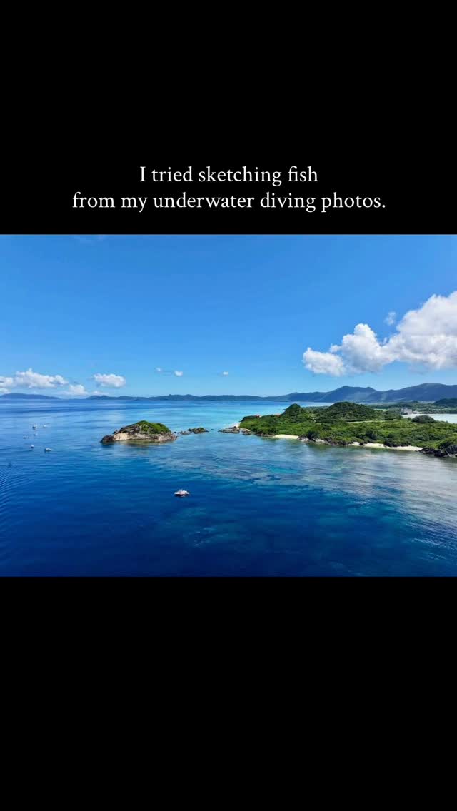 海の中で見た景色思い出しながらお絵描きしてみた🐠
#ダイビング #石垣島ダイビング #石垣島 #想い出 #スケッチ