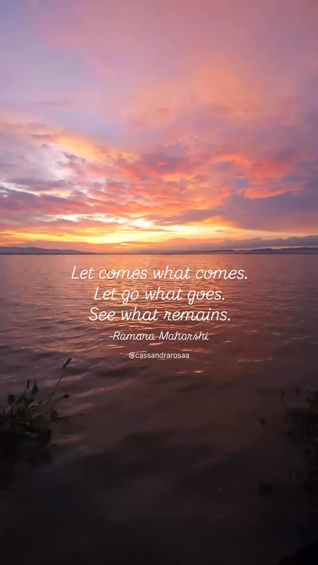 It’s the last 11 days of the Chinese zodiac’s year of the snake. 🐍
I’ve been taking this as an opportunity to go through an upgrade!
To let go what goes, and see what remains!
How about you? What are you letting go of?
Drop a 🐎 if you are ready for the year of the fire horse and are willing to let go of the outdated to prepare for it!