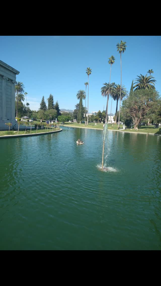 Quick stop over to the lovely Hollywood Forever Cemetery 💖