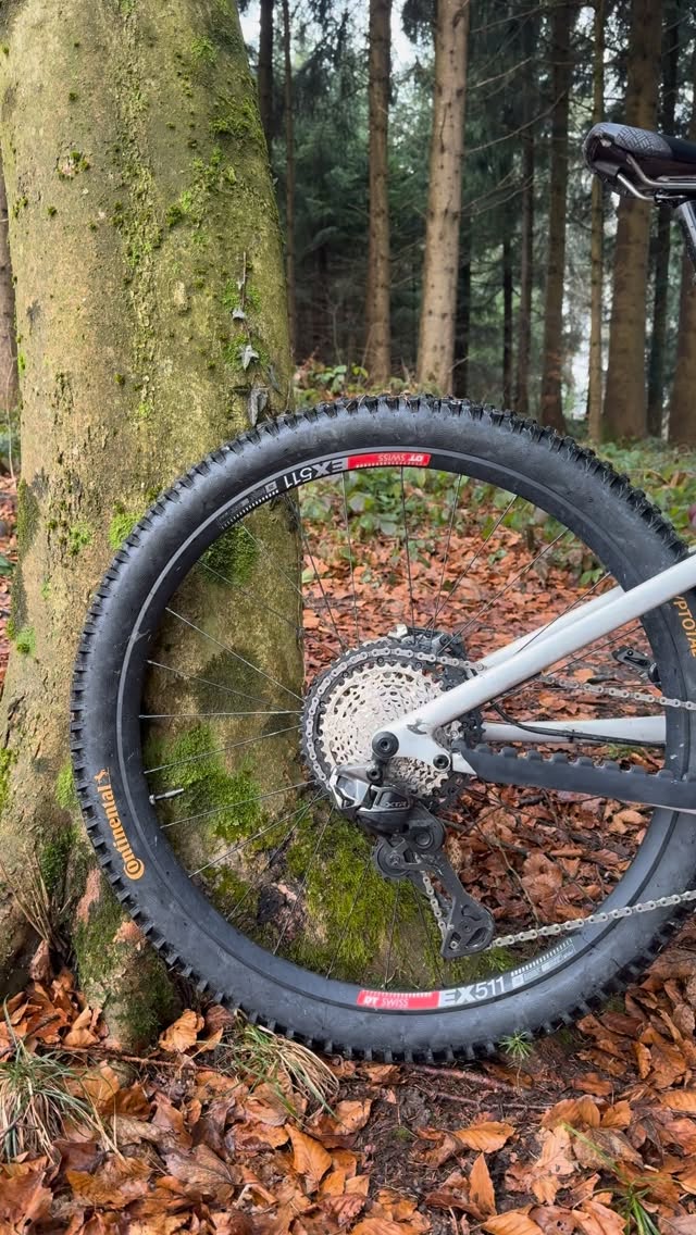 before and after ONE trail ๐๐ฆ