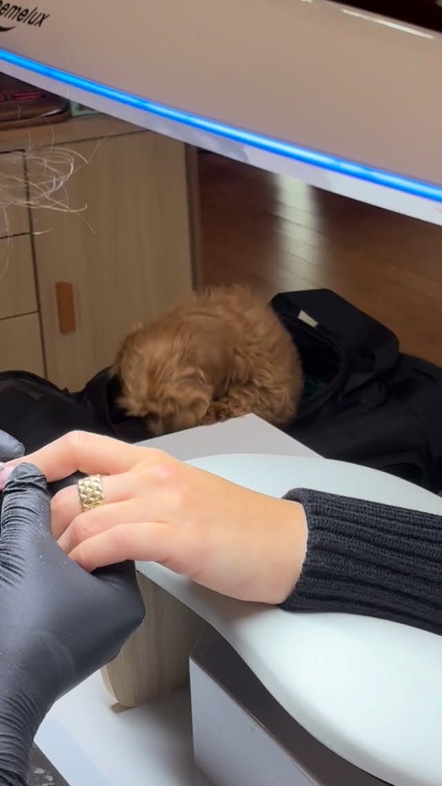 When you are a little lady and want cute nails too!💅🏻🐾 Come get yours 🤍
DM to book💌
#russianmanicureseattle #seattlebeauty #seattlenails #lashextensions #seattle