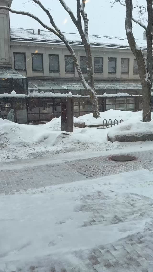 Candles filled with all natural soy-coconut wax & non-toxic scents > 🎯 candles 🤭
RITUALS & OPULENCE by @predominantlyblack are filling the shop with unique scents that you MUST indulge in.
And according to PB, a home that smells good & feels considered, consistency, self investment are IN and hustle to feel worthy, unnecessary context, overused wellness clichés are OUT.
We couldn’t agree MORE! What do you think?
-
#intentionalliving #artisanmade #home