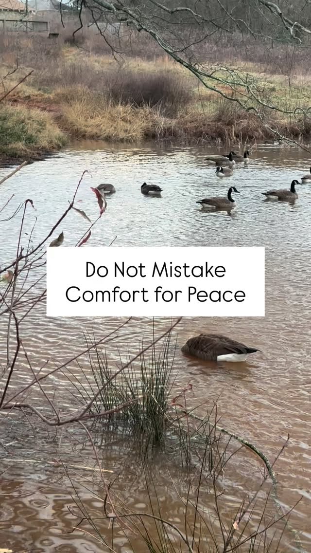 Comfort avoids tension and peace confronts what fractures human dignity and then rebuilds what love requires.
Jesus never promised His followers a comfortable path.
But He did promise His presence.
