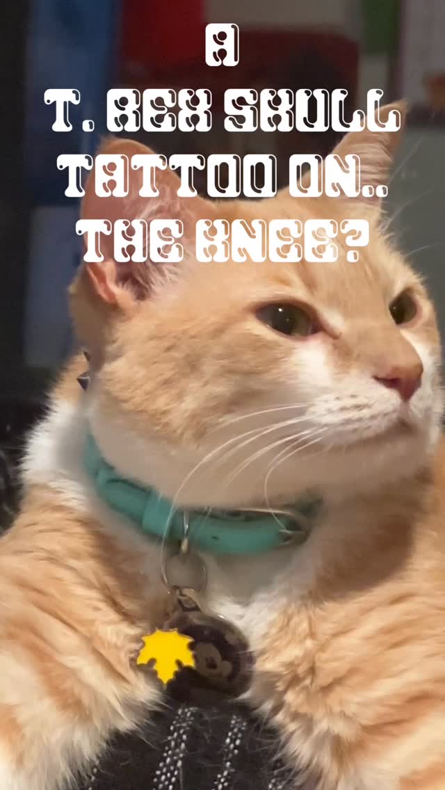 T. rex skull on the knee in one sitting for a tough client 💥 @electricavetattoo.atx
Click the link in my bio to book!
Don’t forget, Friday the 13th is coming up. We open at noon! See y’all soon ✨
#atx#atxtattoo#finelinetattoo#blackandgreytattoo#tattoo