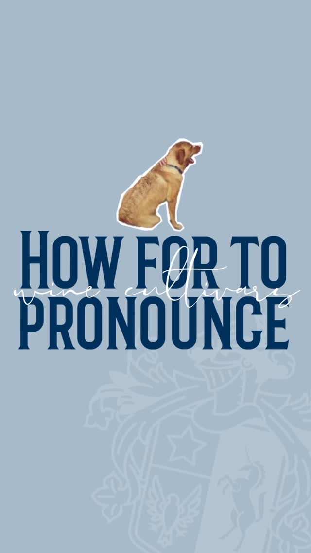 Skooltyd, julle!🔔🔔🔔 At BESTER Family Wines, we’re more than just a bunch of pretty faces; we’re here to get you excited (and informed) about South African wines. Like & follow to stay in the loop, Bestes.
#BesterFamilyWine
#SwartlandWine
#WineLessons
#LearnAboutWine
#FunTrivia