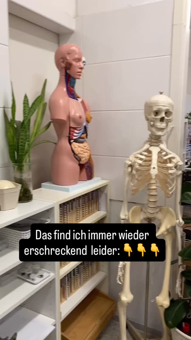 Viele trauen sich das nicht zugeben aber ich sags dir ganz ehrlich:
Es ist erschreckend wie wenig anatomische Grundlagen viele Yoga Lehrende haben! 🙉
Dabei wäre es so einfach und so immens wertvoll und wichtig.
❓Warum?
Um Yoga Verletzungen und Abnützung zu vermeiden!
‼️Termin eintragen: Am 28.2. gibts einen Yoga Anatomie Grundlagen Tag im Yogafusion Wien als Teil der Yoga Ausbildung Multi-Style.
Perfekt um dein Wissen zu vertiefen oder aufzufrischen!
Kommentiere: Anatomie
Und ich schick dir gern infos dazu