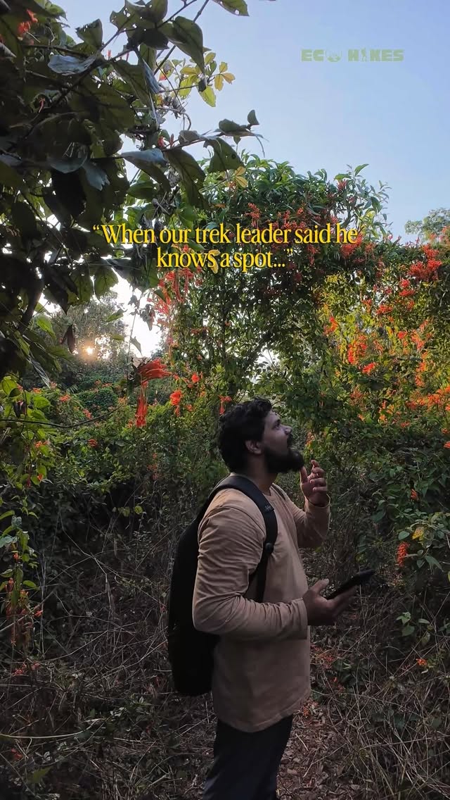 This is how a fun Sunday hike looks like 🤩