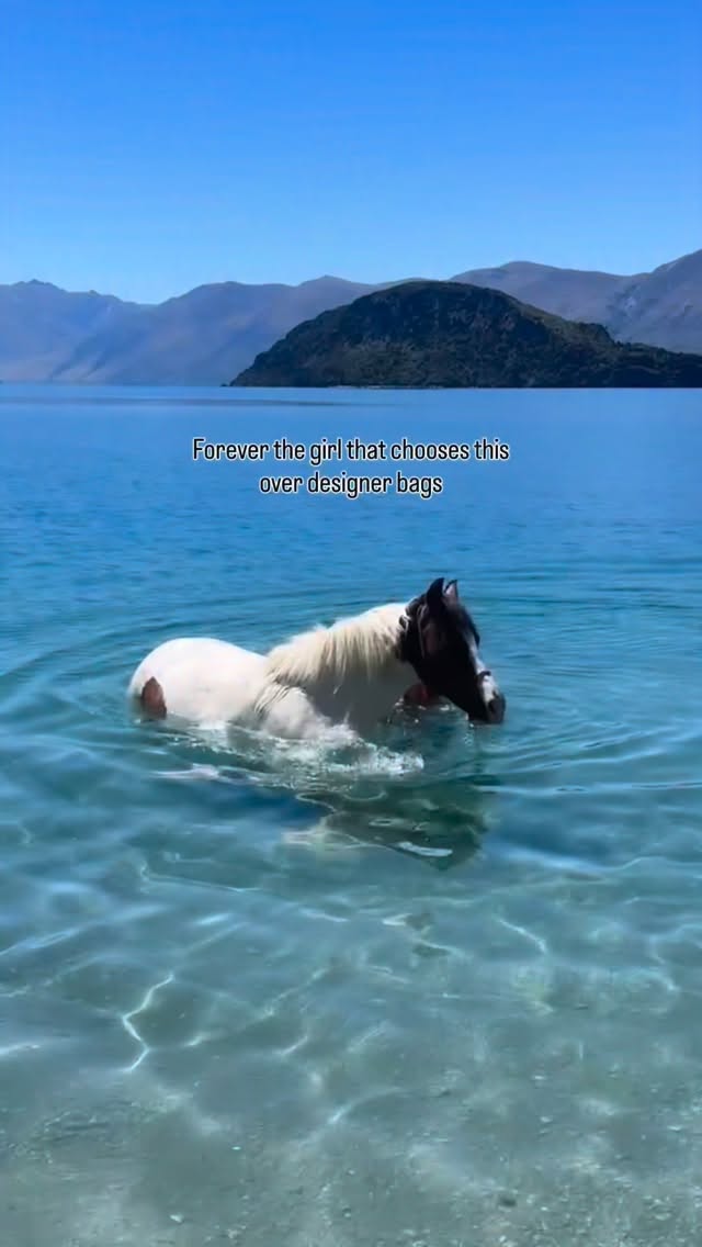 Quite an eye catching horse he is little “Monty”
A little while ago he had a wound in his neck. We got the vet out since it didn’t heal by itself and it turned out to be a little stick! Just the end of a branch must have broken off. So painful.
Unfortunately the wound still hasn’t healed fully so we are having the vet out again today. Fingers crossed they get it out so he doesn’t need a bigger surgery.
Such a sweetie pie he is! But don’t forget he definitely is a little character 😉🐎
.
.
.
.
.
#cantering #painthorse #newzeland #horselove #horselife
