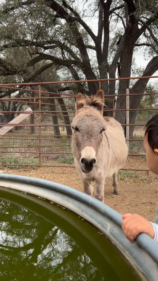 Some days are just go-to-the-barn-in-our-PJs kinda day