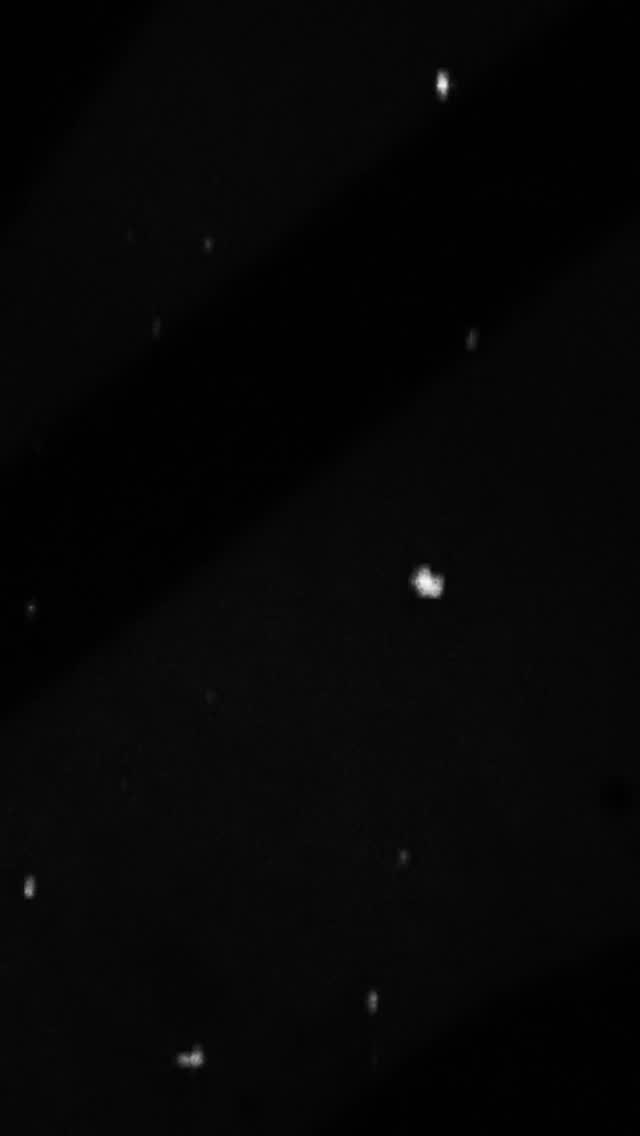 Um pouco dos bastidores do novo disco da OVM.
Esse processo de criação, gravação e produção são divertidos o bastante para nos manter firmes na caminhada.
Vem ver o que acontece longe do palco 🤘
🏷 Selo: @casalago_records
🎙 @arkemi.studio
#indierock #banda #musica