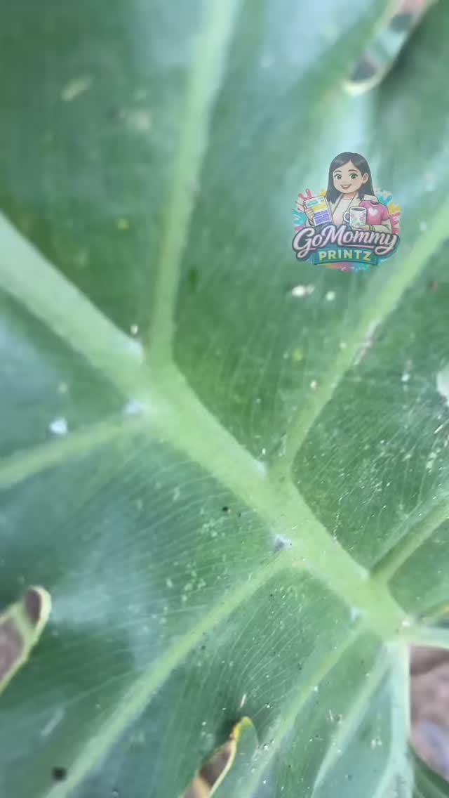 Keep your favorite people (or pets!) close to you, front and back! ❤️
Sa GoMommy Printz, ginagawa naming special ang bawat keychain. Our Back-to-Back Custom Prints ensure na siksik sa memories ang bawat piraso. Photo sa harap, sweet message sa likod? Pwedeng-pwede! Durable, scratch-proof, at siguradong hindi magfe-fade ang bawat moment. Carry your heart on your keys!
Tiktok: _gomommyprintz
Instagram: _gomommyprintz
Facebook: GoMommy Printz
📍 Batangas City