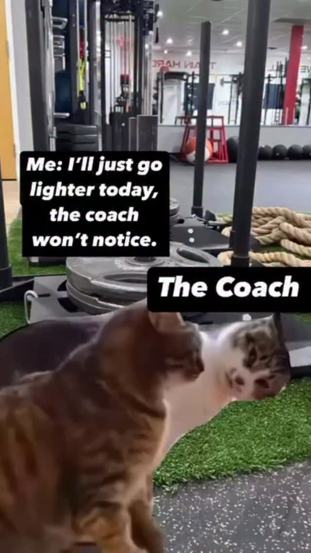Me: āIāll just tweak this workout a little⦠coach wonāt even notice.ā
Coach, from across the gym: šš”
Also the coach: āAww, youāre scaling back today? Thatās adorable. Letās spice it up so it still burns. šš„ā
At Steel Fitness, we specialize in modifications that still make you sweat. You canāt hide behind light weights and wishful thinkingāweāve got eyes everywhere. š
ā
Need to adjust? Cool. Weāll still make it work you.
ā
Thinking of cruising through today? Cute. Not happening. š
ā
Want results? Strap in, buttercupāweāre here to build you.
We donāt do shortcuts. We do strategy.
We donāt do easy outs. We do accountability with a smirk. ššŖ
Ready to stop ghosting your goals and actually make progress?
Join our 6-Week Momentum Program and letās gooo! Just DM āMomentumā to get the link to sign up! Only 6 spots left this month! Like for real š§
Just DM us MOMENTUM and we will send you a link to sign up! Limited spots are left so hurry!