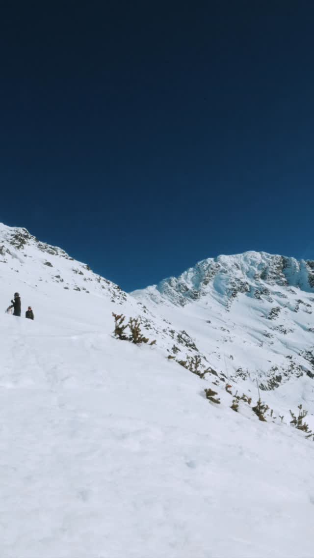 We have the perfect beers for all!