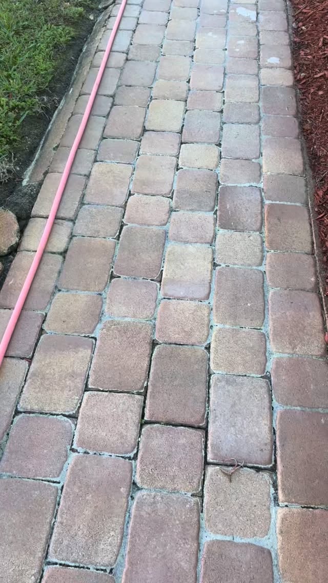 #pressurewashing #roofcleaning #softwashing #tnacleans #paversealing call today for a free estimate 3053189961 www.tnacleans.com