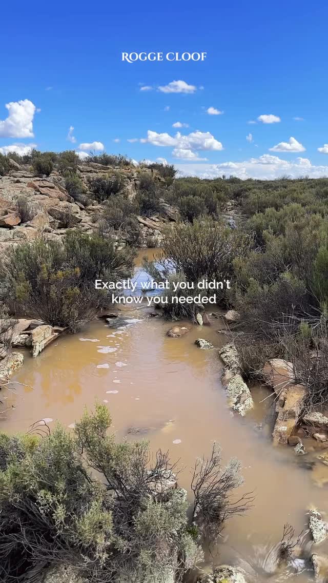 There’s something different about staying in the Karoo.
Mornings start with quiet instead of noise.
Days move at their own pace. Evenings end under big skies and slow conversations.
It’s the kind of place where your shoulders drop without you even noticing, where time feels softer, and everything unnecessary fades away.
That’s the beauty of the Karoo.
Simple. Calm.
Exactly what you didn’t know you needed.
#luxuryecotravel #darkskyreserve #travelsouthafrica #karoo #karoolife
karooaccommodation hikingadventures hikingsouthafrica cheetahconservation cheetah sustainabletravel stargazing astrophotography sutherland astronomylover wideopenspaces natureescape nightphotography nightsky astronomy thisissouthafrica