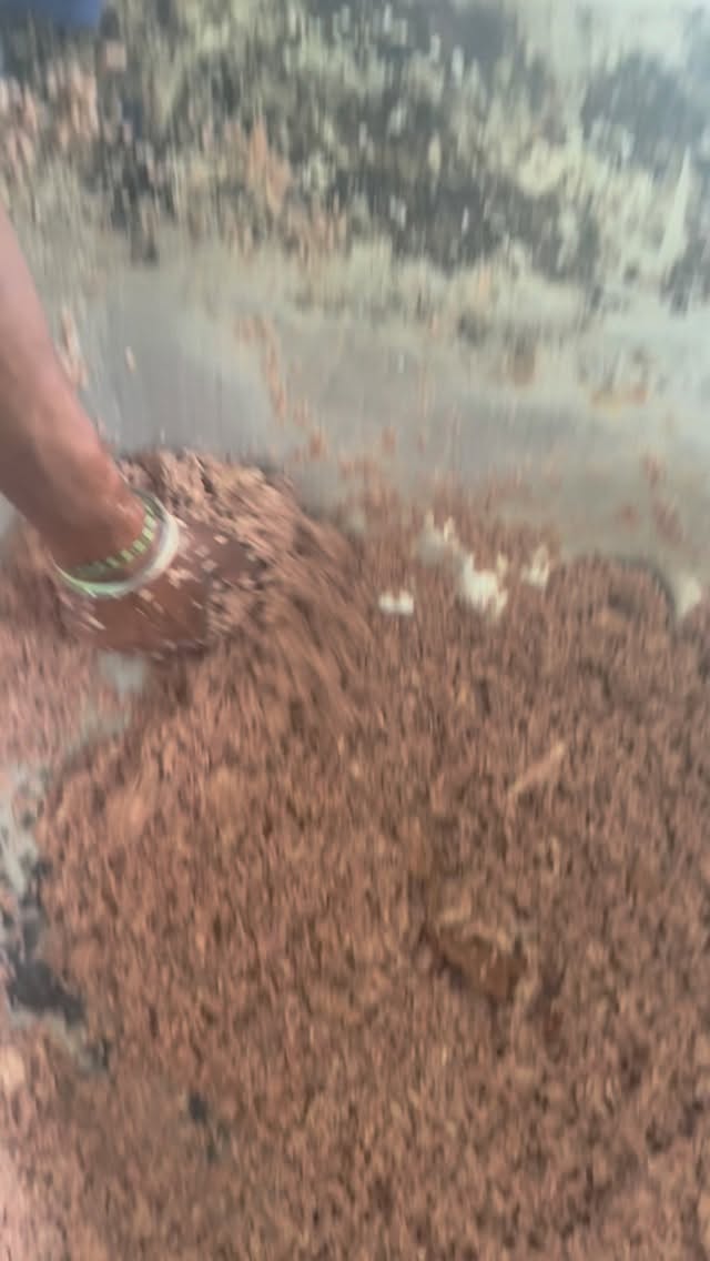 Feeding time at AWT feels like a Sugar Plum Fairy rehearsal đаâ¨
All paws, spins, and happy chaos đđž. #AdoptDontShop
#RescueDogs
#AnimalRescue
#DogRescue
#ShelterDog
#RescueLove
#FureverHome
#DogsofInstagram
#InstaDog
#RescueIsMyFavoriteBreed
#SupportYourShelter
#DonateForDogs
#HelpUsHelpThem
#GiveBackToDogs
#MakeADogsDay
#ShelterSupport
#bethechange
#dogsofsrilanka
#catsofsrilanka
#communitycare
#animalwelfare