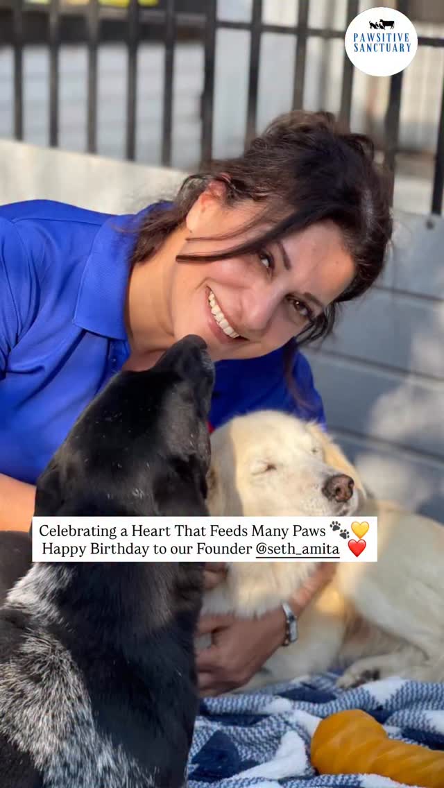 Happy Birthday to our founder, @seth_amita ๐โค๏ธ
Heartfelt wishes from the entire staff on her special day. Her compassion and dedication continue to inspire us every day. To celebrate her birthday, boiled eggs were added to the meals of all our furry babies, spreading love, warmth, and careโjust the way she always does โค๏ธ๐งฟ
#dogsofinstagram #adoptdontshop #spreadkindness
#viralvideos #birthdayspecial