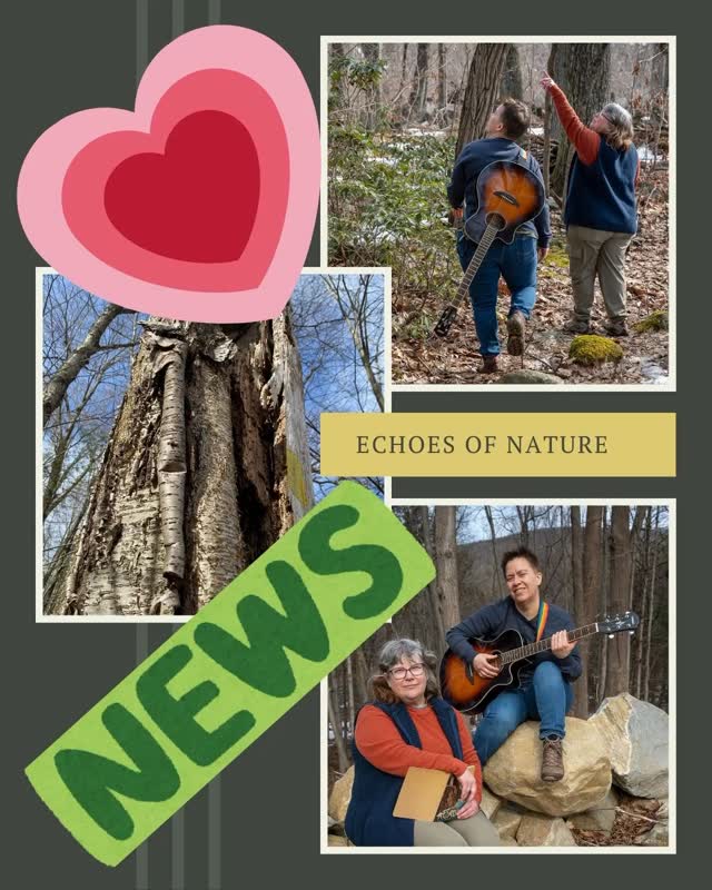 🌿✨ BIG NEWS for Echoes of Nature ✨🌿
We’re thrilled to share that Echoes of Nature has been awarded THREE Massachusetts Local Cultural Council grants for 2026 — in Gardner, Framingham, and Holyoke!
This next chapter will bring us into collaboration with:
📚 Levi Heywood Memorial Library (Gardner)
📝 The Care Center + 🏛 Wistariahurst Museum (Holyoke)
🌸 Danforth Museum + Garden in the Woods (Framingham)
Echoes of Nature is a collaborative performance project blending original music and poetry to deepen our relationship with the natural world and the communities we call home.
So grateful to be creating this work alongside the brilliant Kim Hoff 💚 and to be partnering with these incredible cultural spaces.
2026 is already blooming. 🌱 Stay tuned.
@masscultural @kimbahoff123 @holyokelocalculturalcouncil @wistariahurst @leviheywoodmemoriallibrary @ccholyoke @danforthartframingham
#EchoesOfNature #MassCulturalCouncil #LocalCulturalCouncil #communityarts