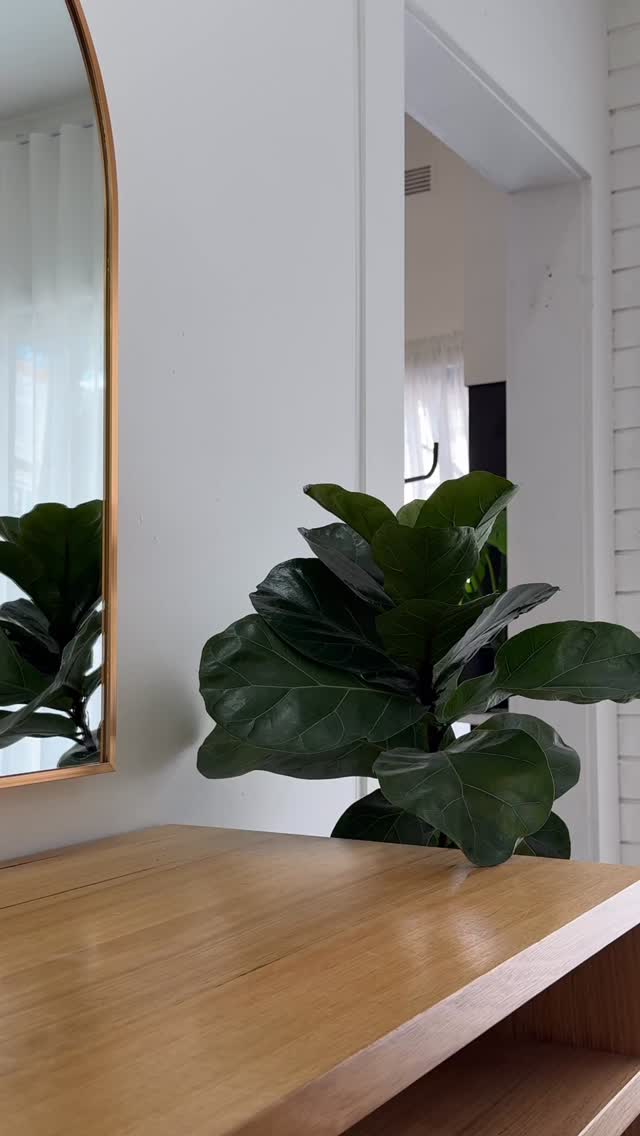 Our favourite combo for blondes 💙
Repair shampoo + conditioner, finished with a mask for hydration & strength!