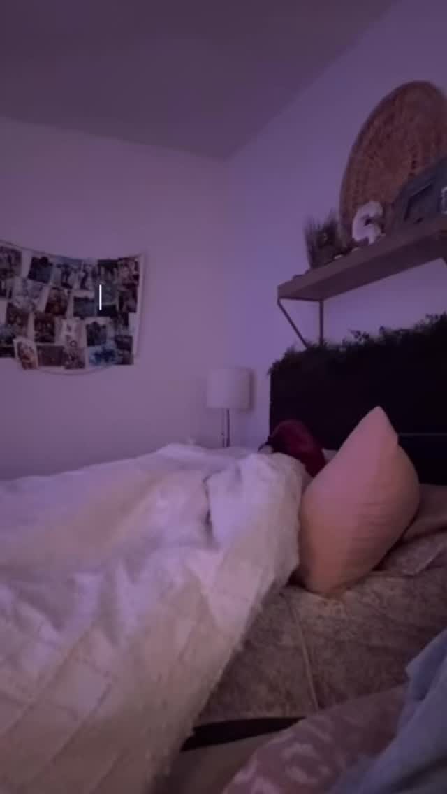 A day in the life of a MUA conquering her first winter wonderland wedding ❄️ It was a magical day and I know the bridal portraits will be flawless 😍 ##bridalmakeupartist #dayinthelife #bridalmakeup #winterweddings makeupartist