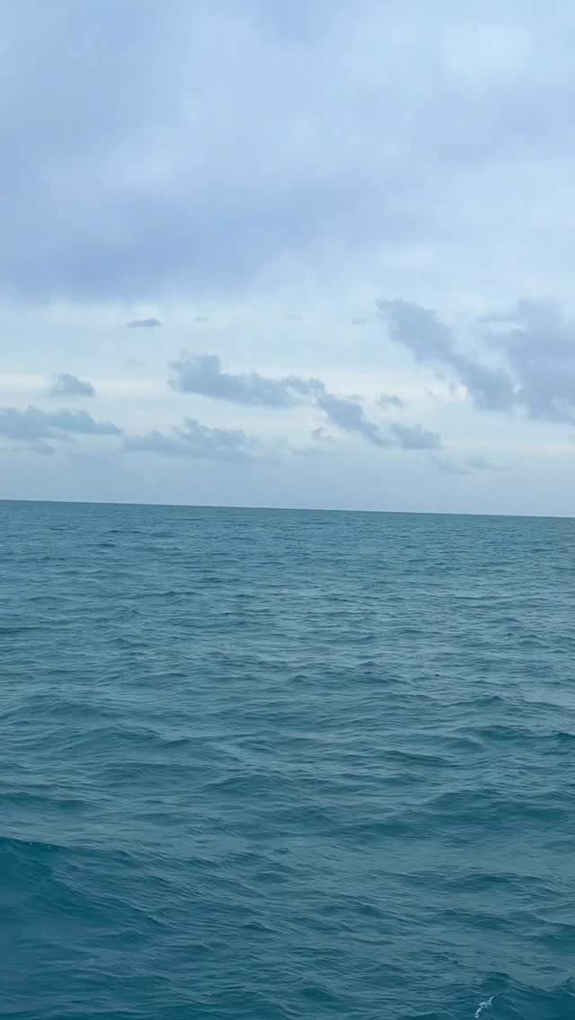 I spent years swimming against the tide. Now, I breathe, flow, and let abundance and peace naturally rise from within. #FlowWithLife #SomaticHealing #InnerWisdom #AbundanceWithin #BEAMwithBrookelin