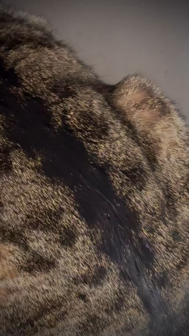 有些停,是在保護能量。