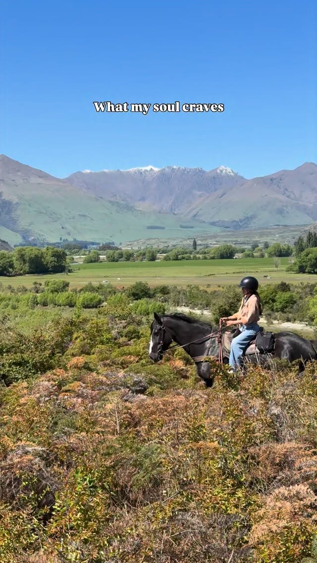 Welcome to “Wanaka Horse Trekking”
Based in the South island of New Zealand, along beautiful lake Wanaka. We are a small business with 17 beautiful horses.
What started as an idea has grown into a place where people reconnect with nature, with horses, and with themselves.
We offer different rides for different abilities:
🏔️ Homestead Bay (2 hours - beg)
🐎 Homestead Bay + (2.5 hours - int/exp)
👩🏽🌾 Lake Ride (5-6 hours - exp)
🗻 Big Hill Loop (7-8 hours - exp)
🏠 Hut Ride (2 days - int/exp)
Our horses aren’t “just horses”, they are our partners, our teachers, and the heart of everything we do.
.
.
.
.
.
#southislandnz #newzealandholiday #nzmustdo #horseholiday #equestrainlife
