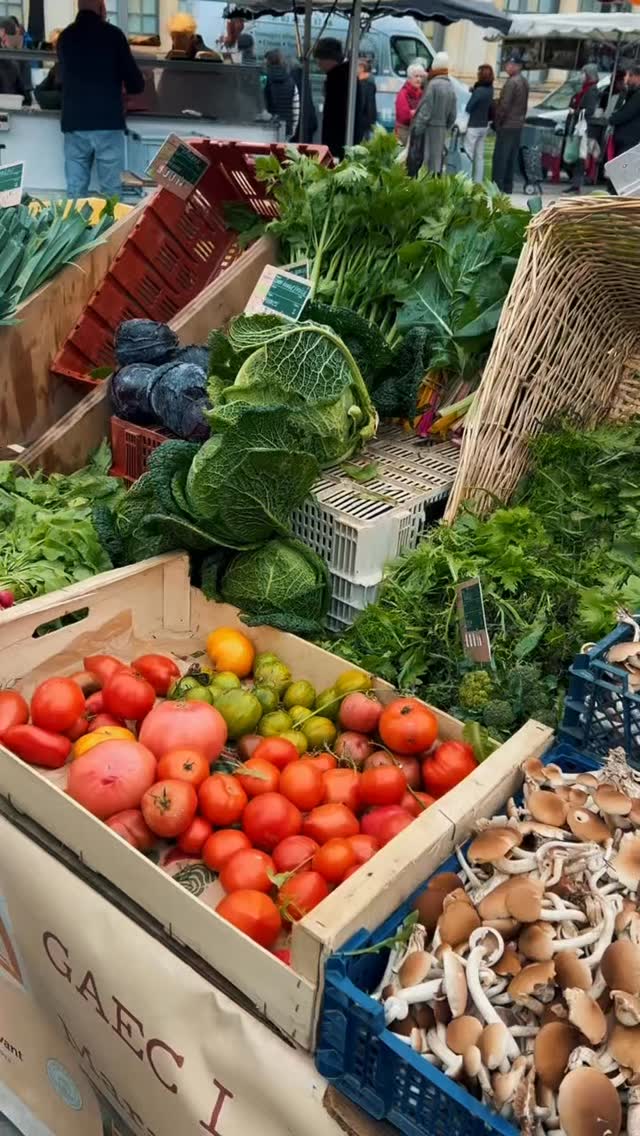 Cooking, exploring, and making memories… at The Walnut Grove, enjoying life is always on the menu!
🍷✨ From hands-on French cooking classes to scenic excursions in Normandy and Brittany, our experiences are truly unforgettable, all crafted with love by Chef Eric.
Want a private, bespoke itinerary ?
✨ We’ll plan every dish, every adventure, just for you.
📩 DM us or click the link in bio to start your personalized culinary escape!