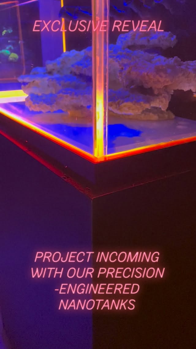 EXCLUSIVE REVEAL!
Our projects just keep getting better and better!
#thepolyppros #nanotank #fragtank #allmymoneygoestoreef #acrylictank