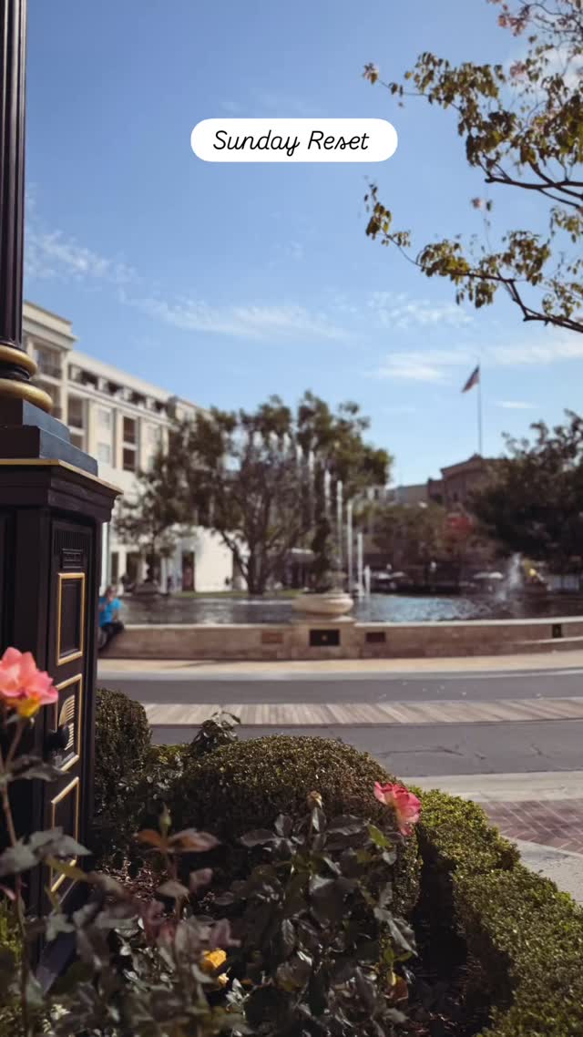 💞Save as your Sunday anchor; ✨share to Stories with your one direction for the week.
#SundayReset #WeeklyOrientation #SteadyFocus #FebruaryEnergy #GroundedLiving