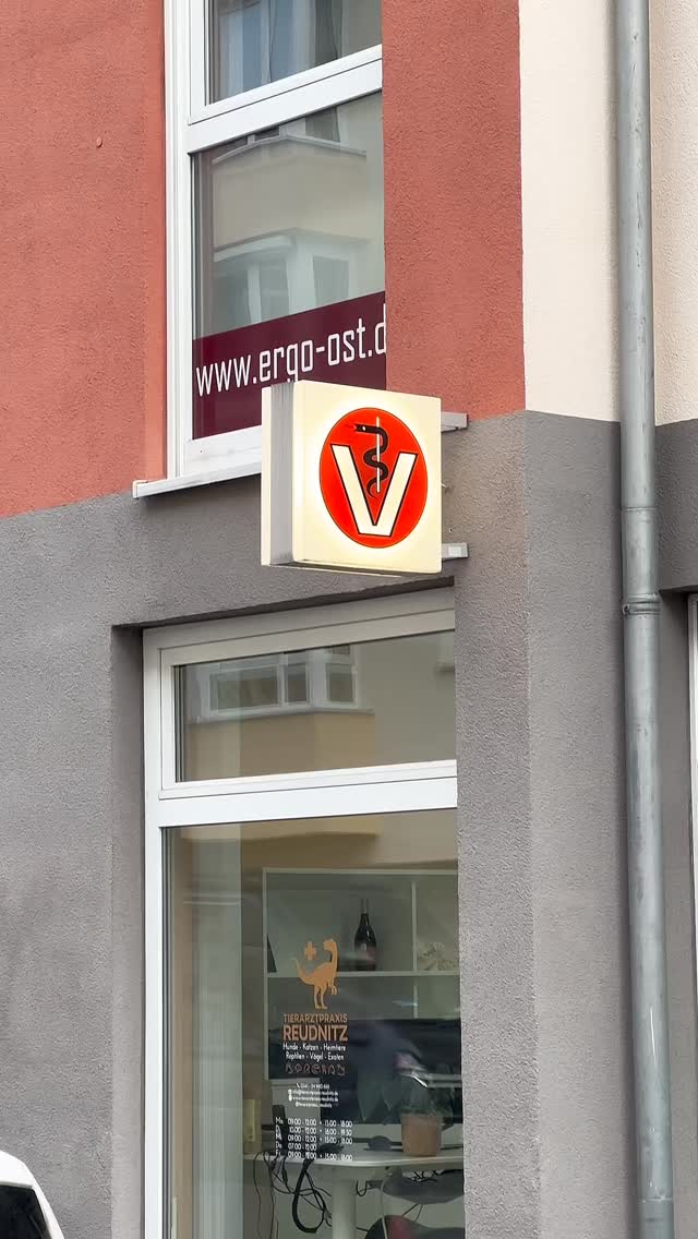 Hausbesuch bei unseren Lieblings-Dinos 🦖