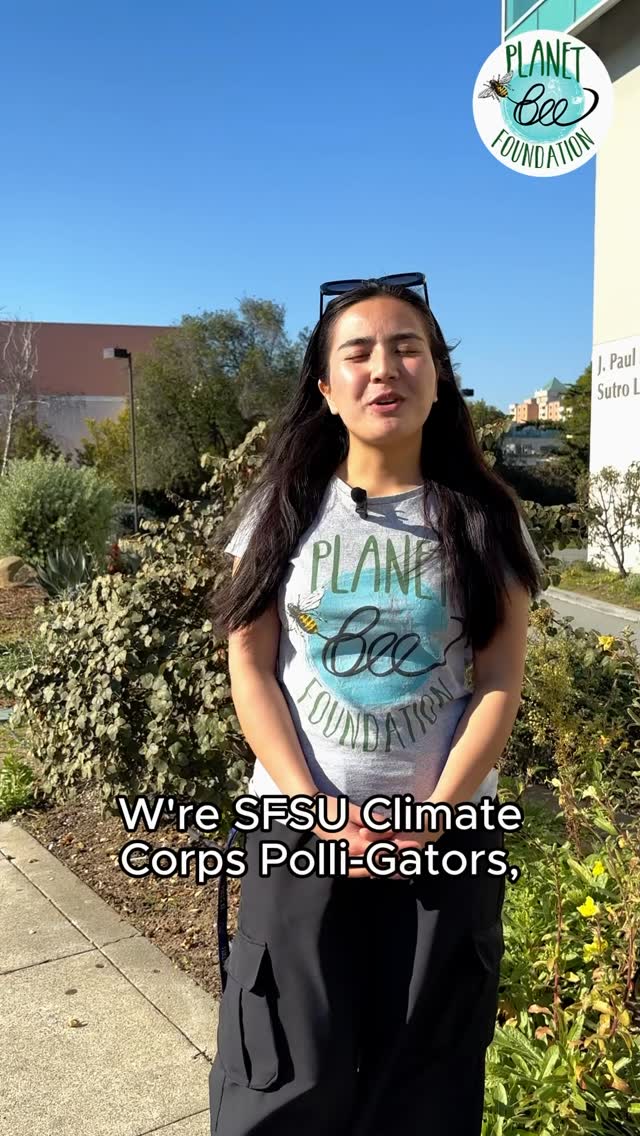 🐝 Our interns are back on campus identifying native plants that support pollinators and showing you how to spot them in your own neighborhood, too.
This week’s plant: Evening Primrose, a delicate, vibrant, and important early food source for bees.
Have you seen evening primrose in your area?
Follow @planet_bee for more native plant spotlights.
#pollinators #interns #nativeplants #inaturalist #nativebees